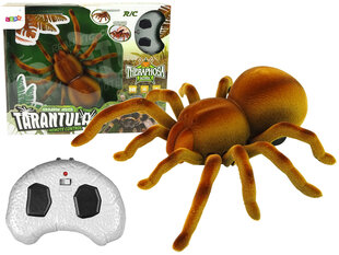 Voras Tarantula su nuotoliniu valdymu kaina ir informacija | Žaislai berniukams | pigu.lt