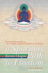Spacious Path to Freedom: Practical Instructions on the Union of Mahamudra and Atiyoga цена и информация | Духовная литература | pigu.lt