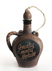 Бутылка с надписью Убежище блестящих мыслей цена и информация | Другие оригинальные подарки | pigu.lt