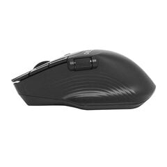 Wireless mouse Delux M913DB 2.4G (black) цена и информация | Мыши | pigu.lt