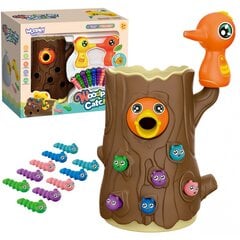 Vaikiškas magnetinis žaidimas Pagauk kirminą, rudas, Woopie kaina ir informacija | Lavinamieji žaislai | pigu.lt