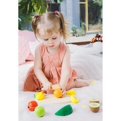 Medinis vaisių pjaustymo rinkinys, Classic World kaina ir informacija | Žaislai mergaitėms | pigu.lt