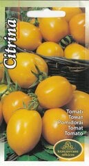 Помидоры Citrina цена и информация | Семена овощей, ягод | pigu.lt