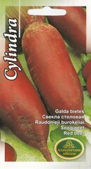 Raudonieji Burokėliai Cylindra kaina ir informacija | Daržovių, uogų sėklos | pigu.lt