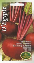 Raudonieji burokėliai D'egypte kaina ir informacija | Daržovių, uogų sėklos | pigu.lt