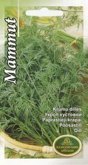 Укроп кустовой Mammut  цена и информация | Семена овощей, ягод | pigu.lt