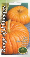 Тыквы Руж виф д'Этамп цена и информация | Семена овощей, ягод | pigu.lt