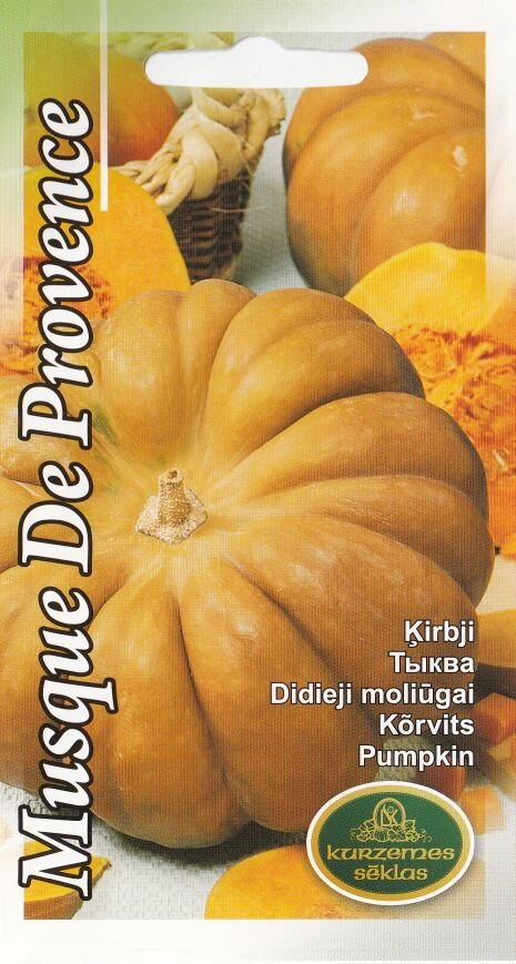 Kvapieji Moliūgai Musque De Provence kaina ir informacija | Daržovių, uogų sėklos | pigu.lt