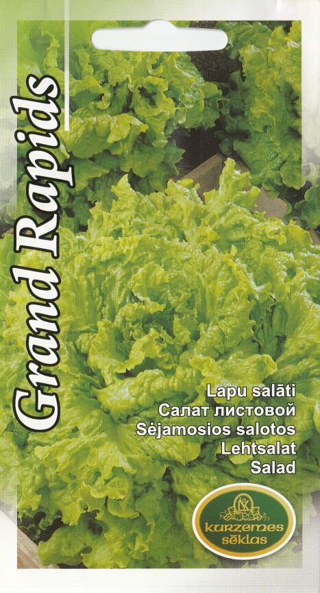 Sėjamosios Salotos (Lapinės) Grand Rapids цена и информация | Daržovių, uogų sėklos | pigu.lt