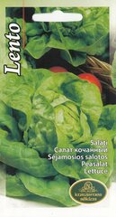 Sėjamosios Salotos (Gūžinės) May King kaina ir informacija | Daržovių, uogų sėklos | pigu.lt