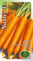 Paprastosios Morkos Nantes 3 цена и информация | Семена овощей, ягод | pigu.lt