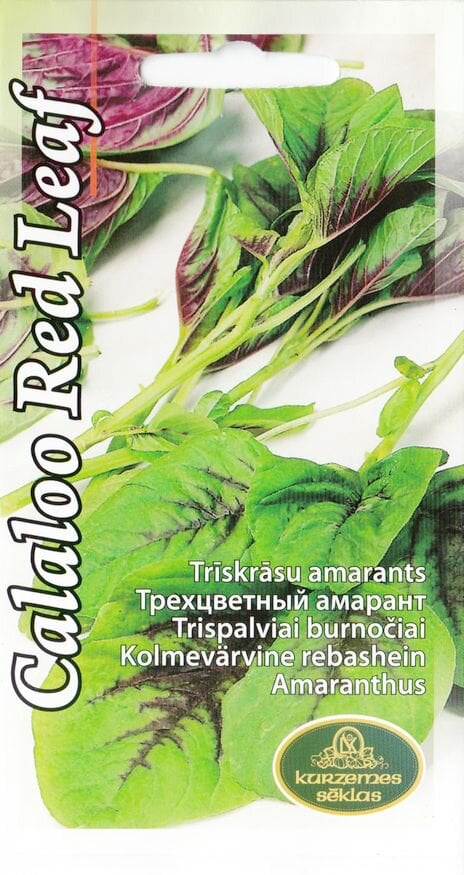 Burnočiai Trispalviai Red Calaloo kaina ir informacija | Gėlių sėklos | pigu.lt