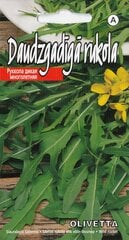 Руккола многолетняя дуболистная Оливетта цена и информация | Семена приправ | pigu.lt