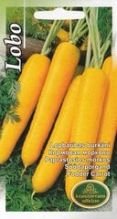 Морковь Лобо цена и информация | Семена овощей, ягод | pigu.lt