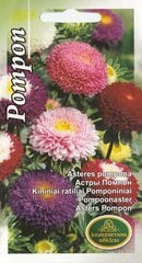 Астры Помпона цена и информация | Семена цветов | pigu.lt