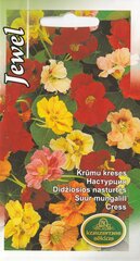 Настурция кустовая Jewel цена и информация | Семена цветов | pigu.lt