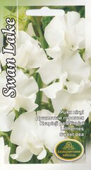 Цветочный горошек SWAN LAKE цена и информация | Семена цветов | pigu.lt