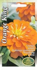 Цинния Orange King цена и информация | Семена цветов | pigu.lt