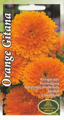 Календула Orange Gitana цена и информация | Семена цветов | pigu.lt