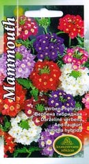 Вербена гибридная МАММУТ цена и информация | Семена цветов | pigu.lt