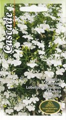 Lobelijos Kabančios White Cascade kaina ir informacija | Gėlių sėklos | pigu.lt