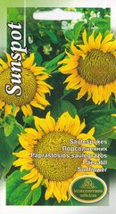 Paprastosios Saulėgrąžos Sunspot kaina ir informacija | Gėlių sėklos | pigu.lt