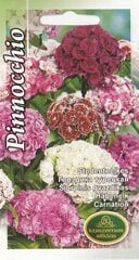 Студенческие гвоздики Pinnocchio цена и информация | Семена цветов | pigu.lt