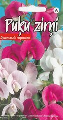 Цветочный горошек МНОГОЛЕТНИКИ МИКС. цена и информация | Семена цветов | pigu.lt