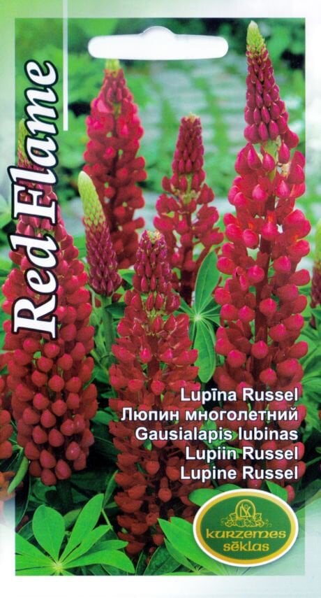 Gausialapis lubinas Red Flame цена и информация | Gėlių sėklos | pigu.lt