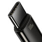 Baseus Tungsten Gold, USB to USB-C, 100W, 2m (black) цена и информация | Laidai telefonams | pigu.lt