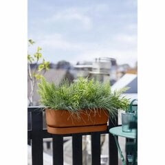 Банка Elho Greenville Easy 21 x 52 x 19,5 cm Коричневый цена и информация | Вазоны | pigu.lt