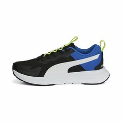 Sportiniai bateliai Puma Evolve Run Mesh, juodi kaina ir informacija | Sportiniai bateliai, kedai moterims | pigu.lt