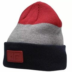 Kepurė berniukams 4F S6463228, raudona цена и информация | Шапки, перчатки, шарфы для мальчиков | pigu.lt
