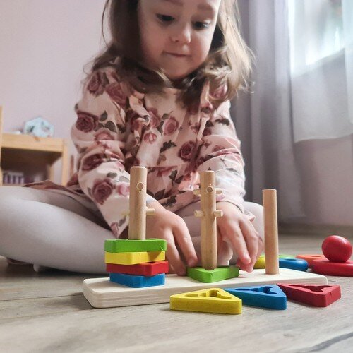 Medinė delionė - lavinamasis žaidimas vaikams kaina ir informacija | Lavinamieji žaislai | pigu.lt