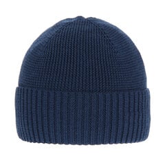 Vyriška kepurė Need 4You, mėlyna, merinosų vilna kaina ir informacija | Vyriški šalikai, kepurės, pirštinės | pigu.lt