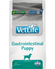 Farmina Vet Life Gastrointestinal Puppy корм для молодых собак с птицей и рисом, 2 кг цена и информация |  Сухой корм для собак | pigu.lt