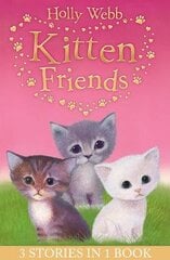 Holly Webb's Kitten Friends: Lost in the Snow, Smudge the Stolen Kitten, The Kitten Nobody Wanted kaina ir informacija | Knygos paaugliams ir jaunimui | pigu.lt