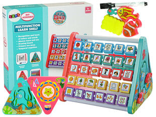 Познавательная игра для детей цена и информация | Развивающие игрушки | pigu.lt