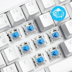 Royal Kludge Blue Gateron 35 vnt цена и информация | Клавиатуры | pigu.lt