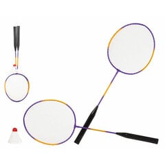 Badmintono rakečių rinkinys kaina ir informacija | Badmintonas | pigu.lt