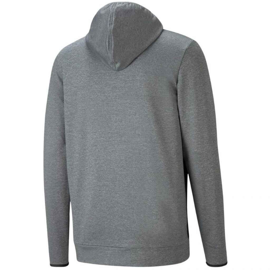 Vyriškas džemperis Puma RTG Hoodie M, pilkas kaina ir informacija | Džemperiai vyrams | pigu.lt