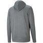 Vyriškas džemperis Puma RTG Hoodie M, pilkas kaina ir informacija | Džemperiai vyrams | pigu.lt