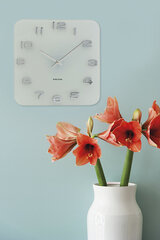 Sieninis laikrodis - Vintažinis balto stiklo kaina ir informacija | Laikrodžiai | pigu.lt
