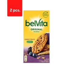 Печенье BELVITA ЛЕСНЫЕ ФРУКТЫ с лесными ягодами, 300 г x 2 шт. цена и информация | Сладости | pigu.lt