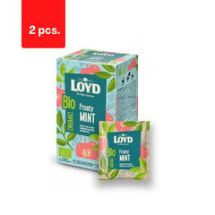 Органический травяной чай LOYD Choco Cinnamon, 20 х 2 г х 2  цена и информация | Чай | pigu.lt