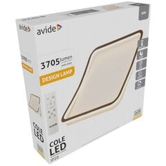 LED Lubinis šviestuvas AVIDE Cole 60W su pulteliu kaina ir informacija | Lubiniai šviestuvai | pigu.lt