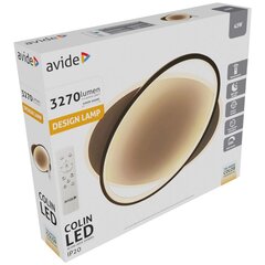 Светодиодный потолочный светильник Avide Colin, 43 Вт, с дистанционным управлением цена и информация | Потолочные светильники | pigu.lt