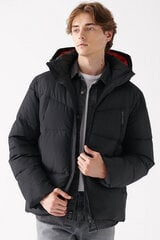 Зимняя куртка Mavi 0110068900-L цена и информация | Мужские куртки | pigu.lt