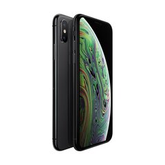 iPhone XS 512GB Space Gray (atnaujinta, būklė A) kaina ir informacija | Mobilieji telefonai | pigu.lt