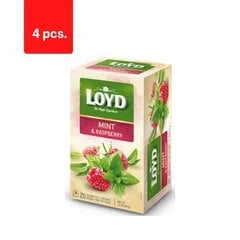 Травяной и фруктовый чай со вкусом мяты и малины LOYD, 20 х 2 г х 4 упаковки цена и информация | Чай | pigu.lt